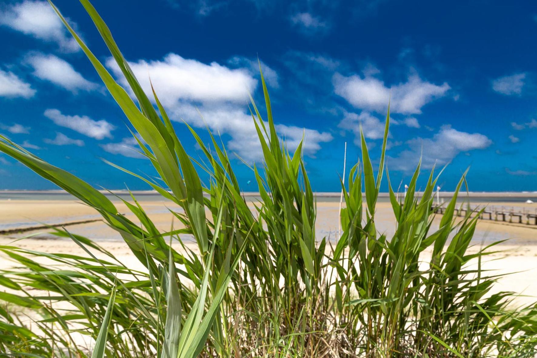 Wyk auf Föhr Wohnen Am Suedstrand - Ferienwohnung 1 1 מראה חיצוני תמונה